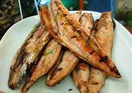 Palamut